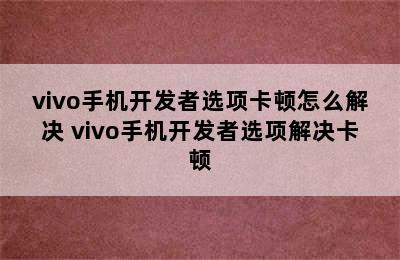 vivo手机开发者选项卡顿怎么解决 vivo手机开发者选项解决卡顿